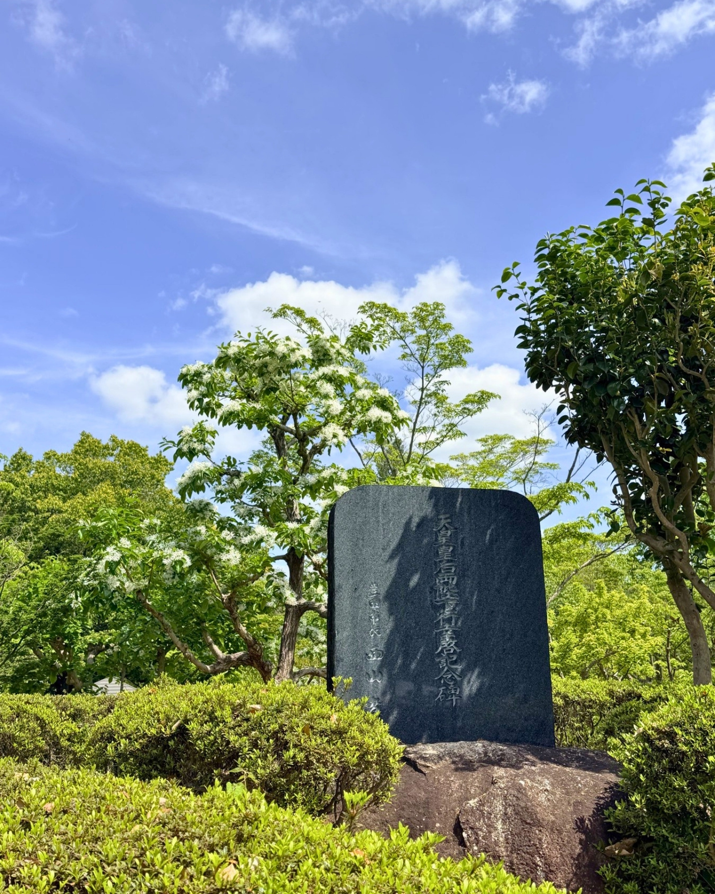 西山公園 記念碑とナンジャモンジャの白い花