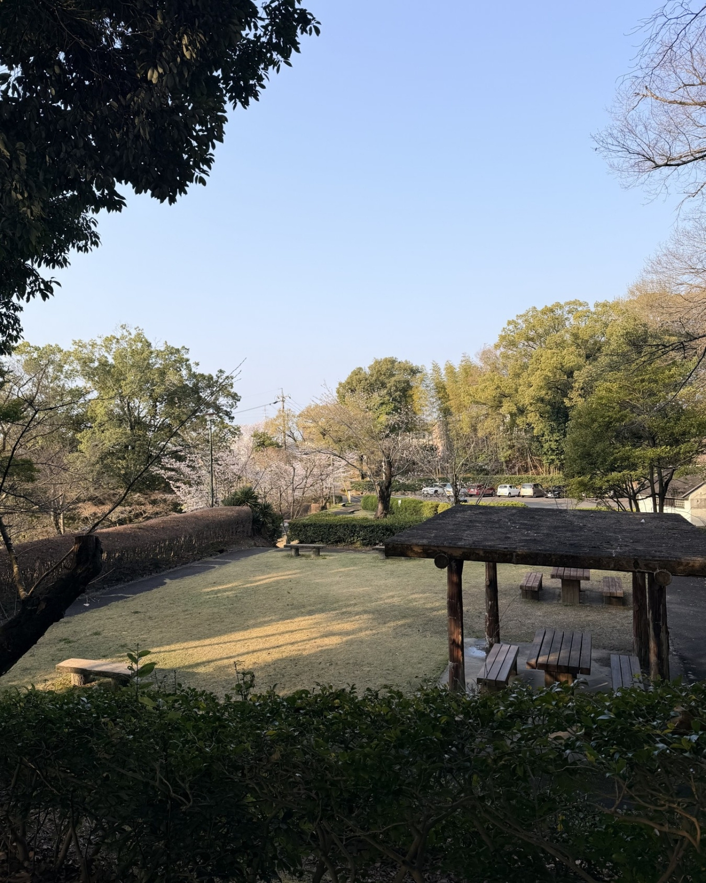 水源公園の東屋