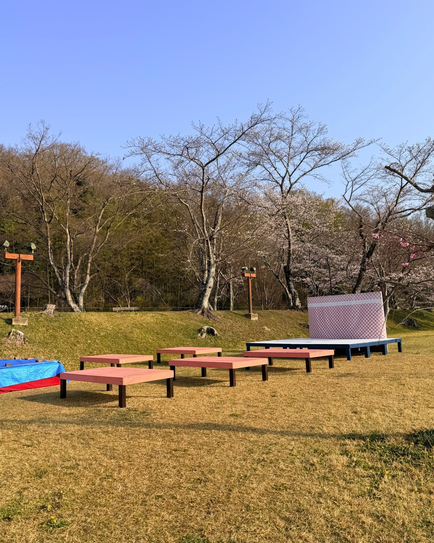 水源公園のベンチと芝生広場