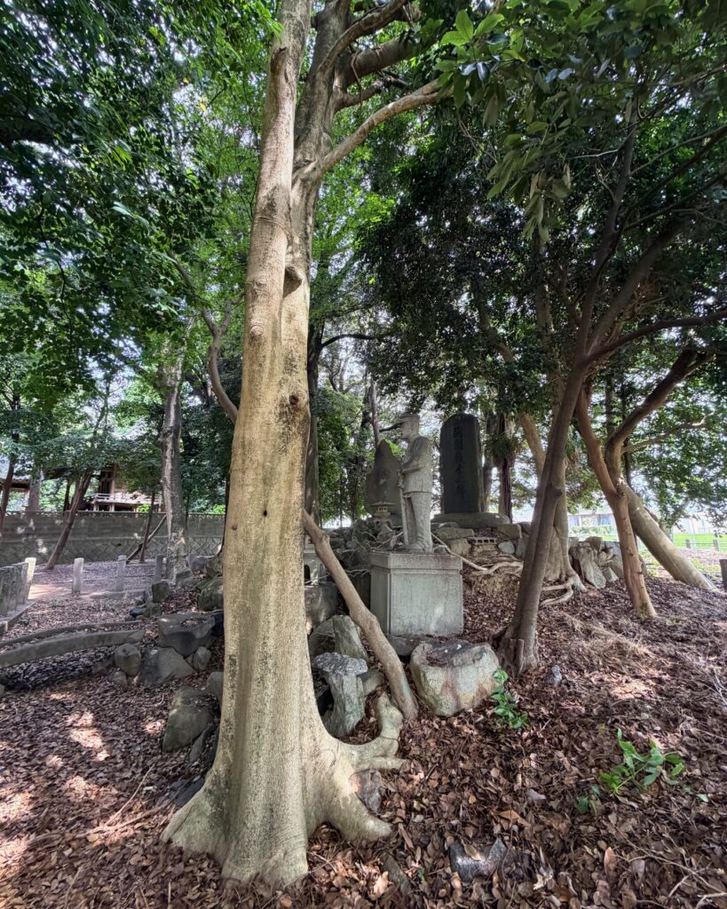 城ヶ入白山神社遊園(愛知県安城市)横から見た殉国の碑