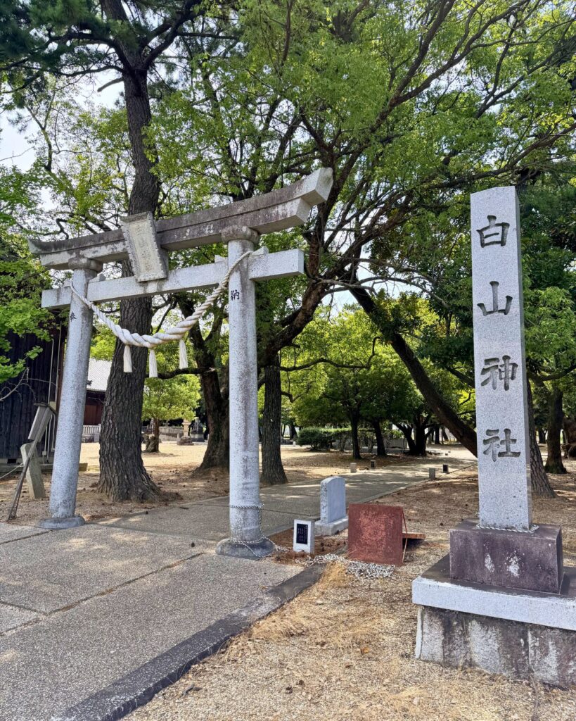 城ヶ入白山神社遊園(愛知県安城市)白山神社の鳥居