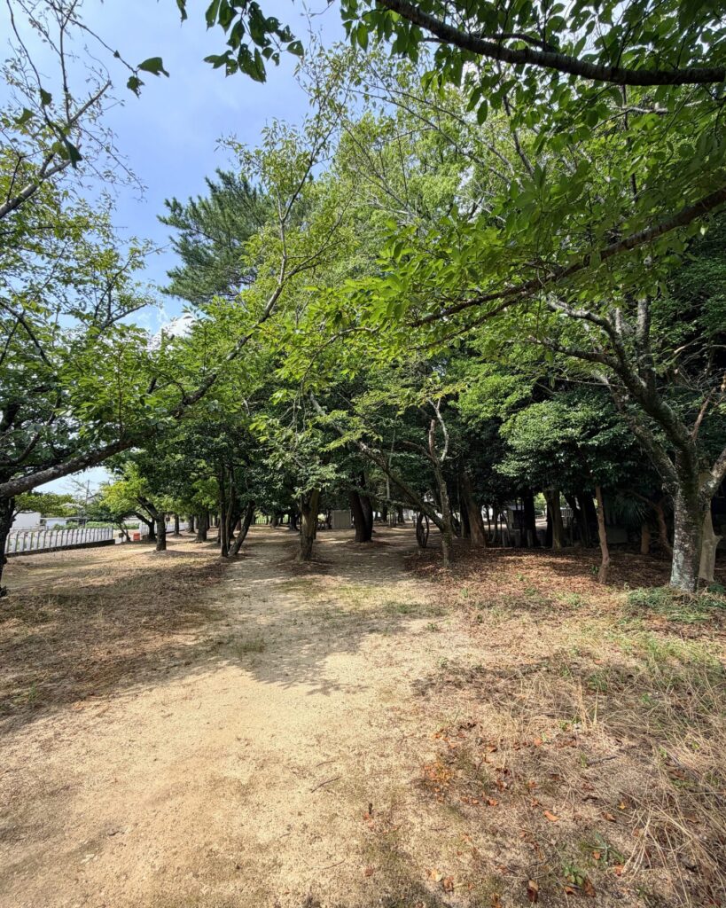 城ヶ入白山神社遊園(愛知県安城市)東側の林
