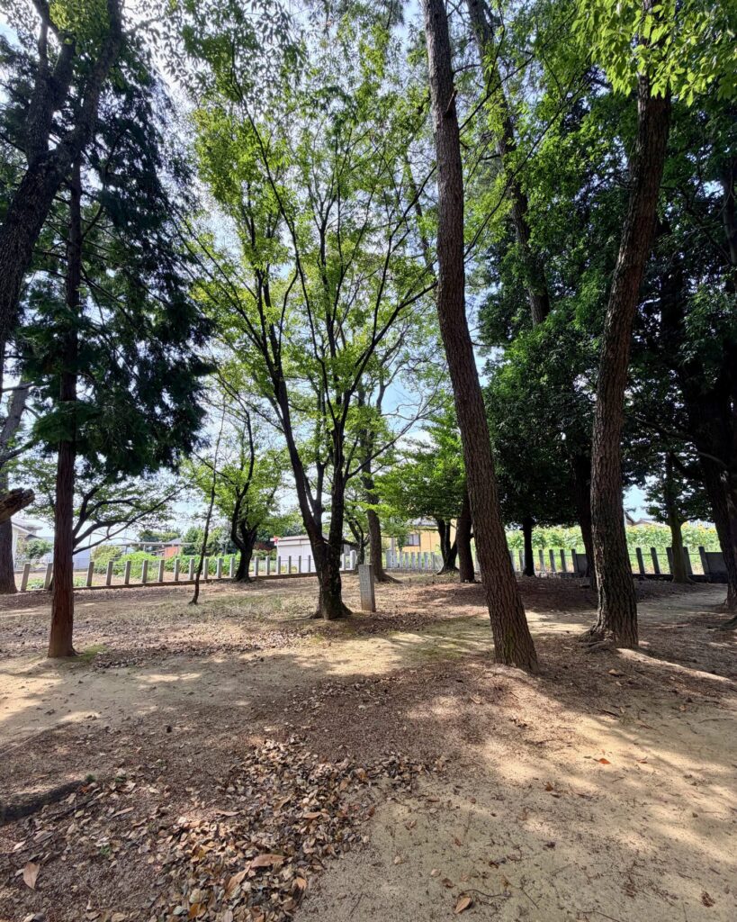 城ヶ入白山神社遊園(愛知県安城市)遊園奥の林