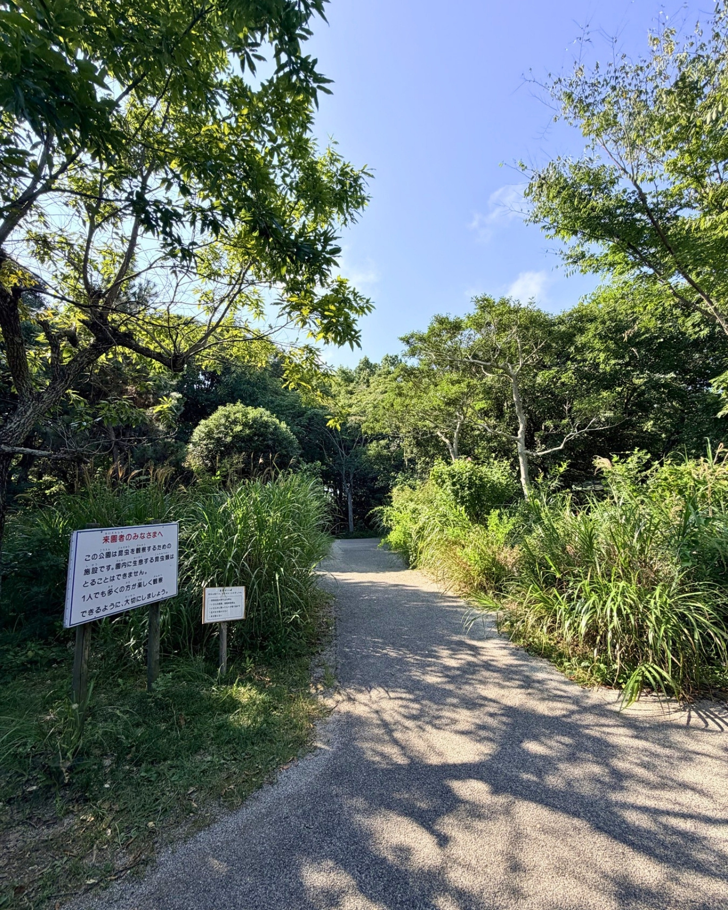 竜洋昆虫自然観察公園 ビオトープの遊歩道 園内は緑の中をのんびり歩けます