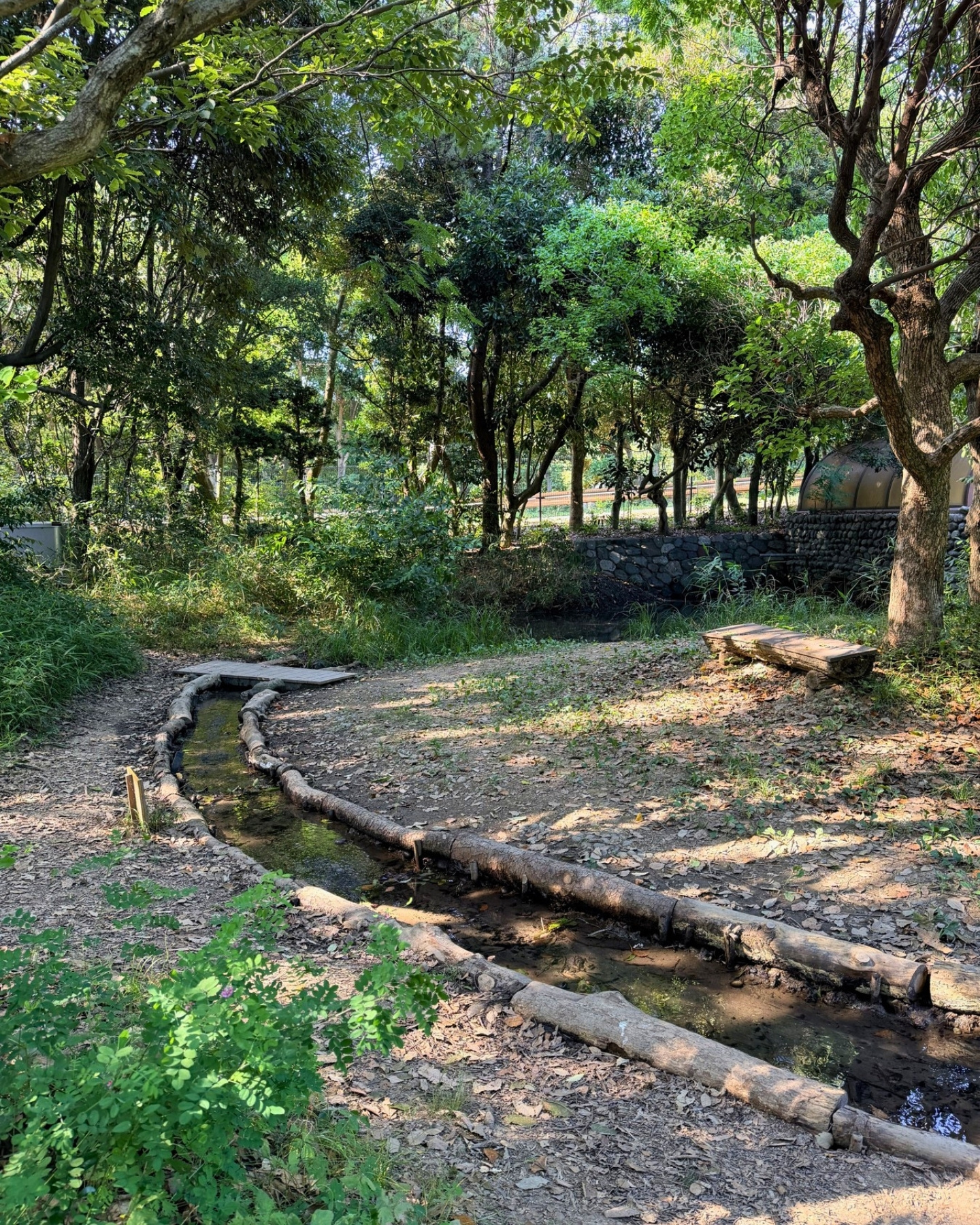 竜洋昆虫自然観察公園 小川沿いの道 水辺の生き物を探しながら歩くのも楽しいですよ