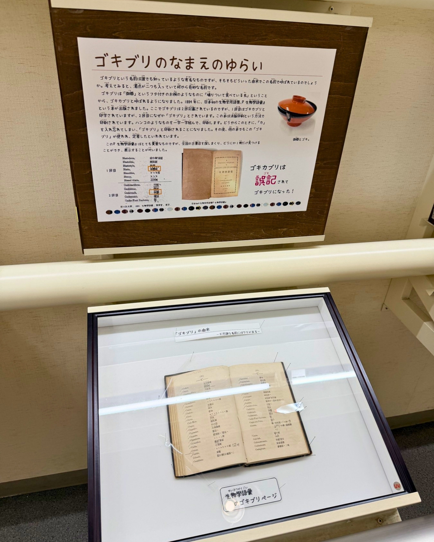 竜洋昆虫自然観察公園 ゴキブリのなまえのゆらい 名前の由来もていねいに紹介