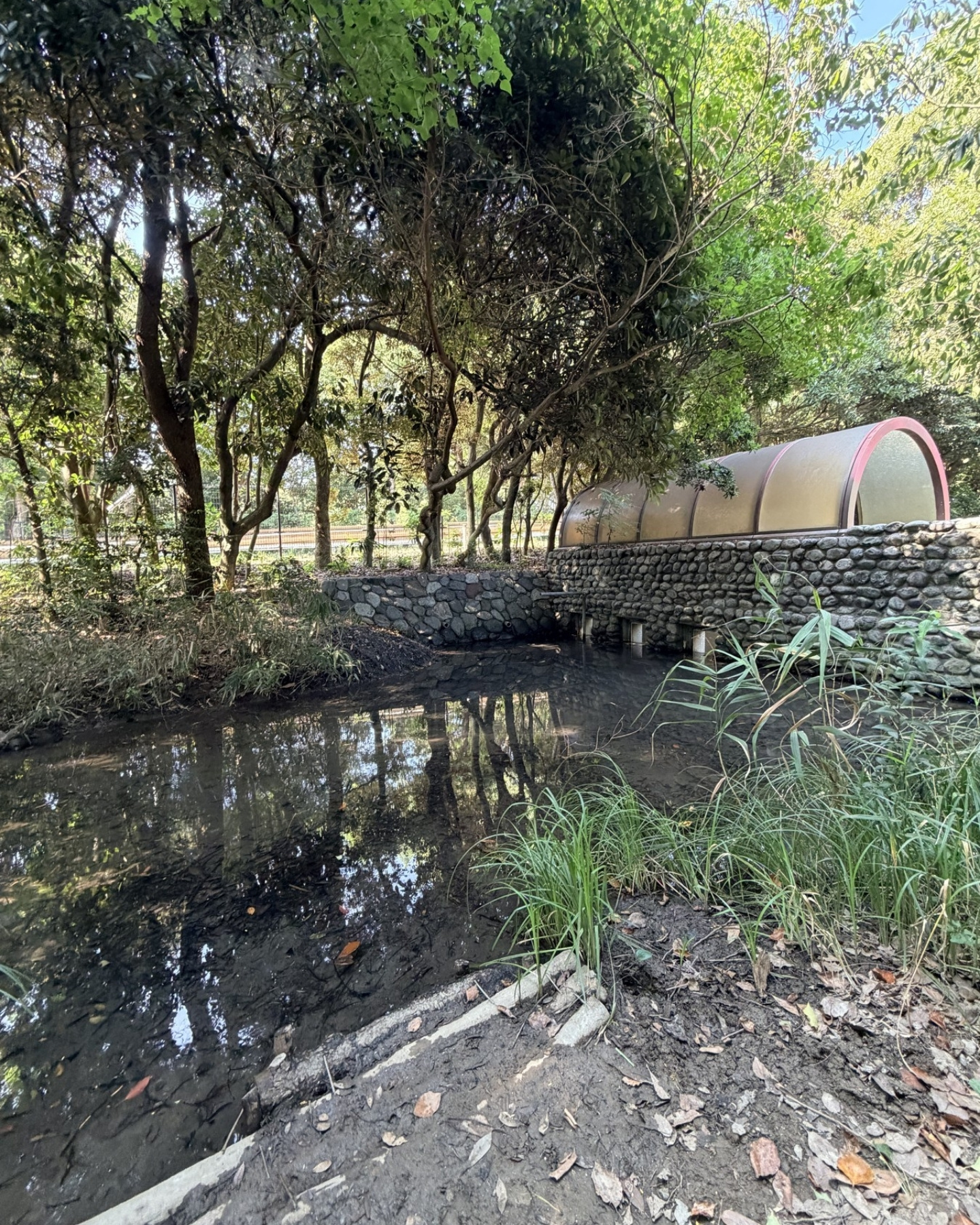 竜洋昆虫自然観察公園 地下通路の入口 小川のそばにあります
