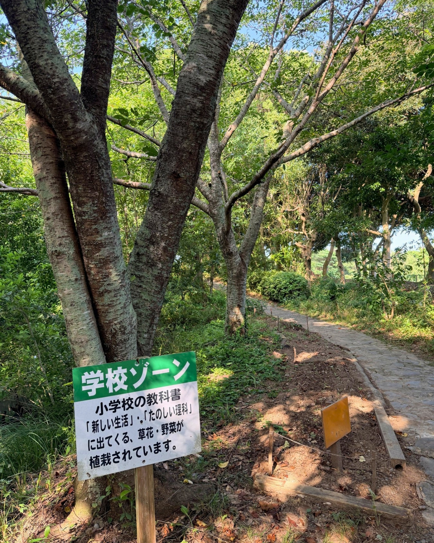 竜洋昆虫自然観察公園 学校ゾーン 小学校の教科書に出てくる草花や野菜のコーナー