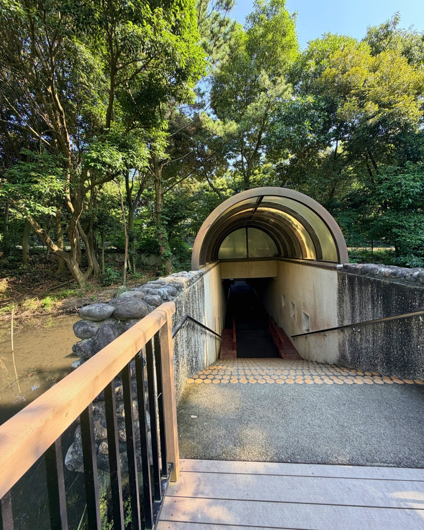 竜洋昆虫自然観察公園 地下通路の入口 中央エリアと北エリアをつなぎます