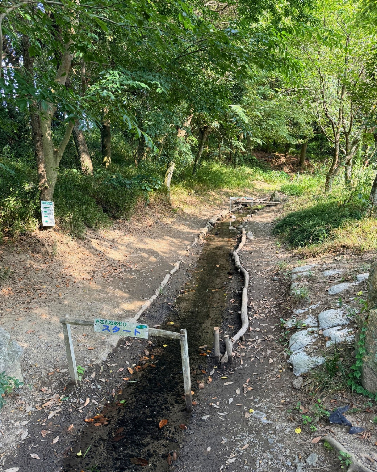 竜洋昆虫自然観察公園 遊歩道沿いの水路 小川に沿って歩けます