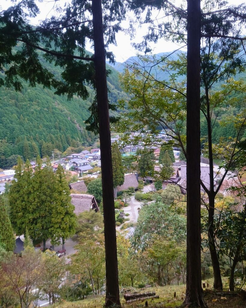 楠公社裏から見た合掌村