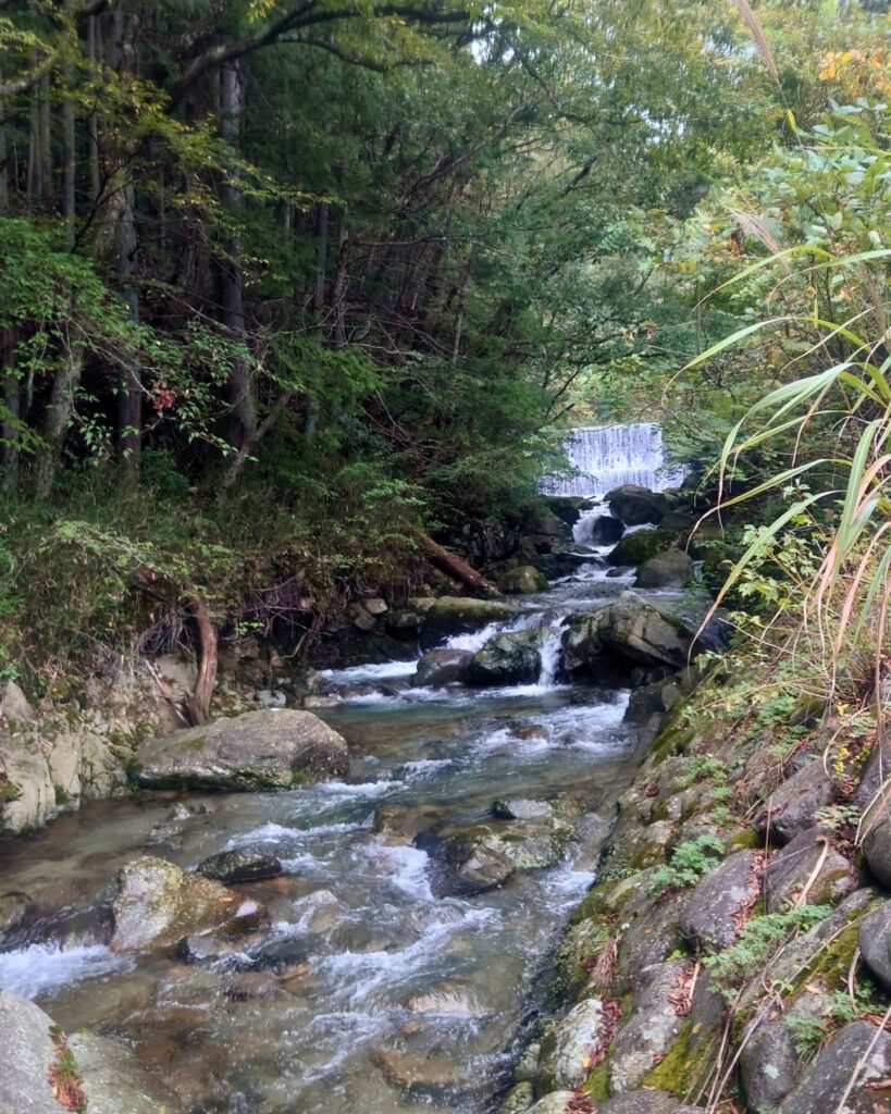 荒々しい上流部