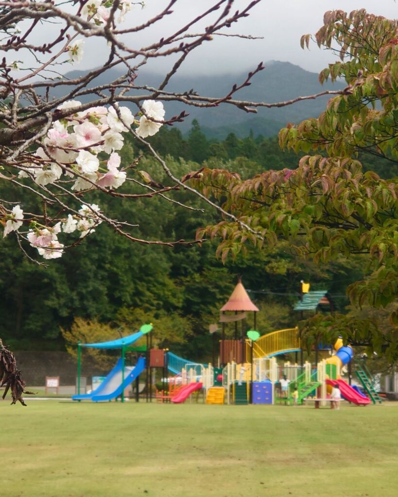 桜と遊具