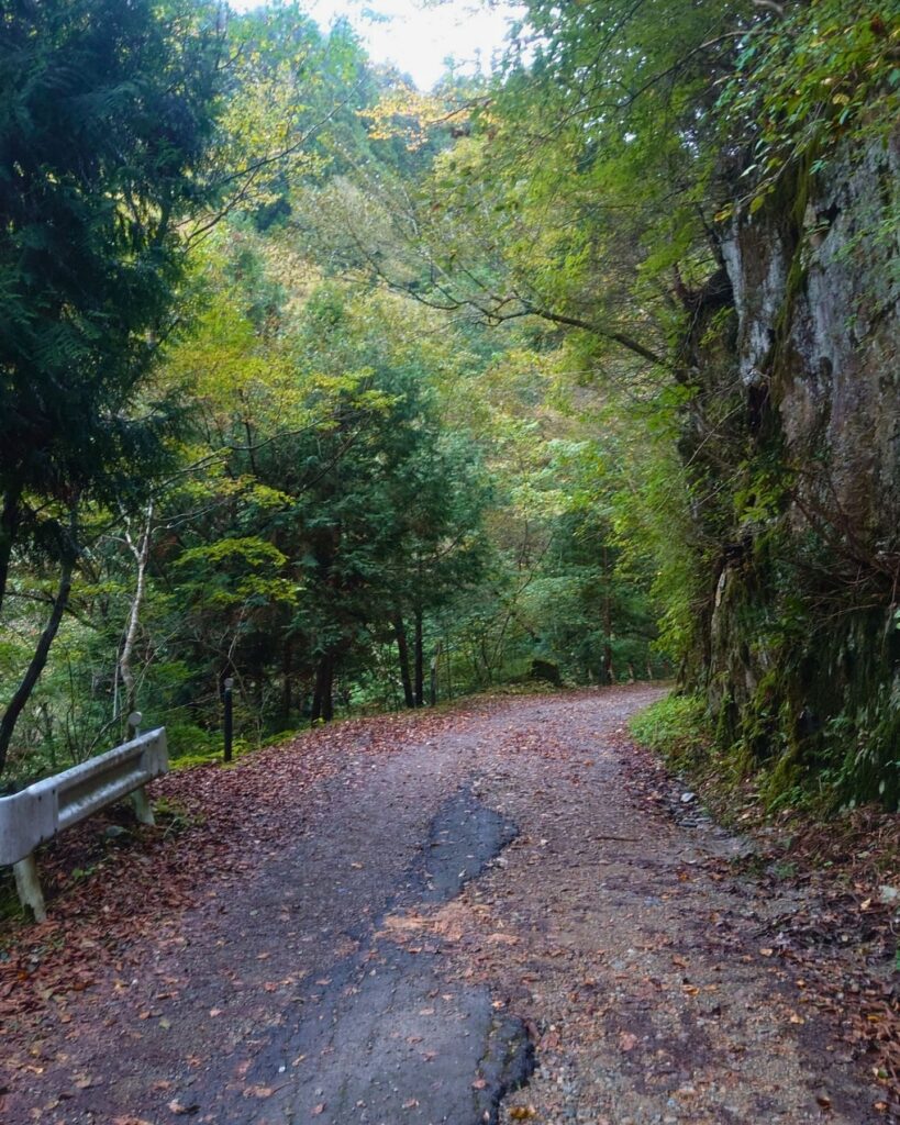 唐谷駐車場までの道中