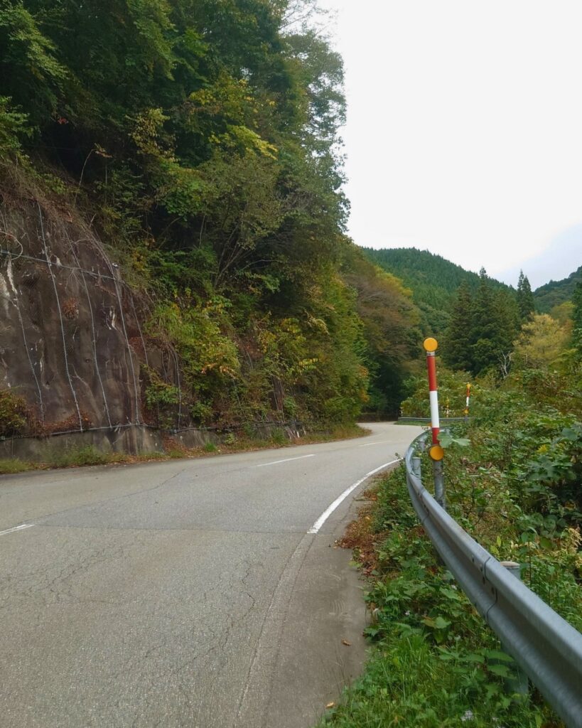 県道441号線