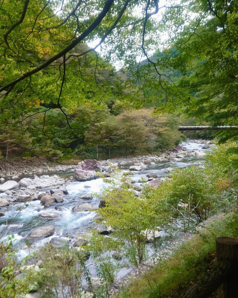 馬瀬川の清流