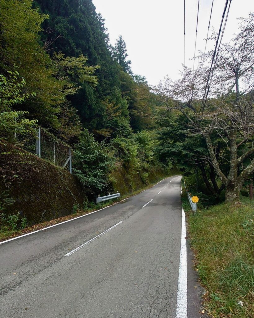 川沿いの道