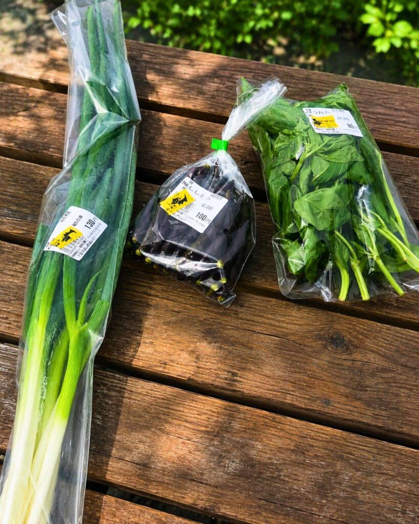 買った野菜たち