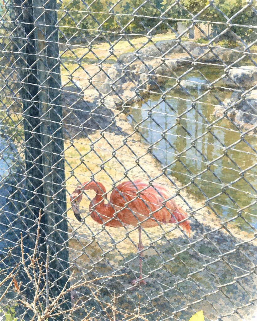 堀内公園のフラミンゴ