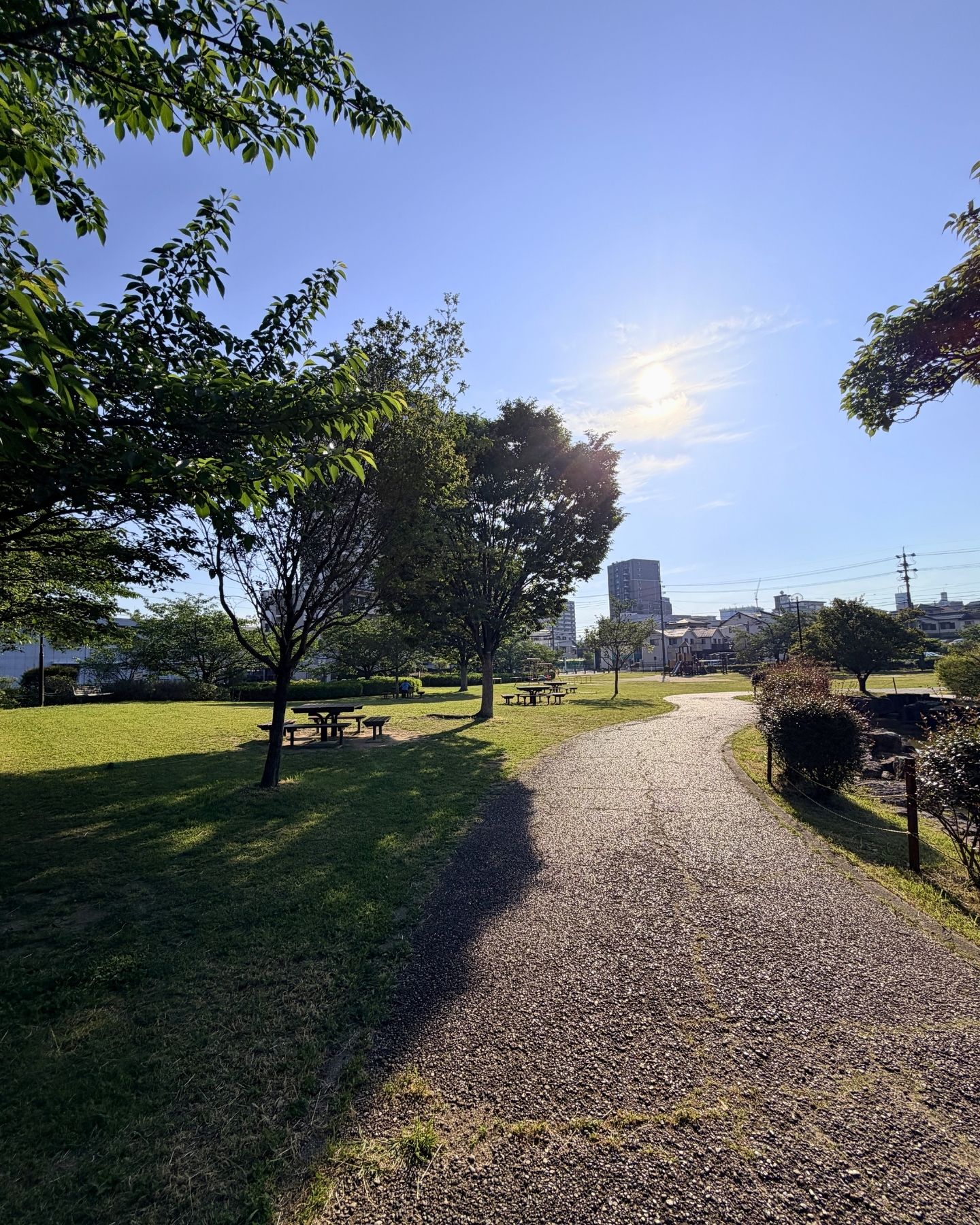 山ノ手公園(愛知県豊田市)木陰の園路