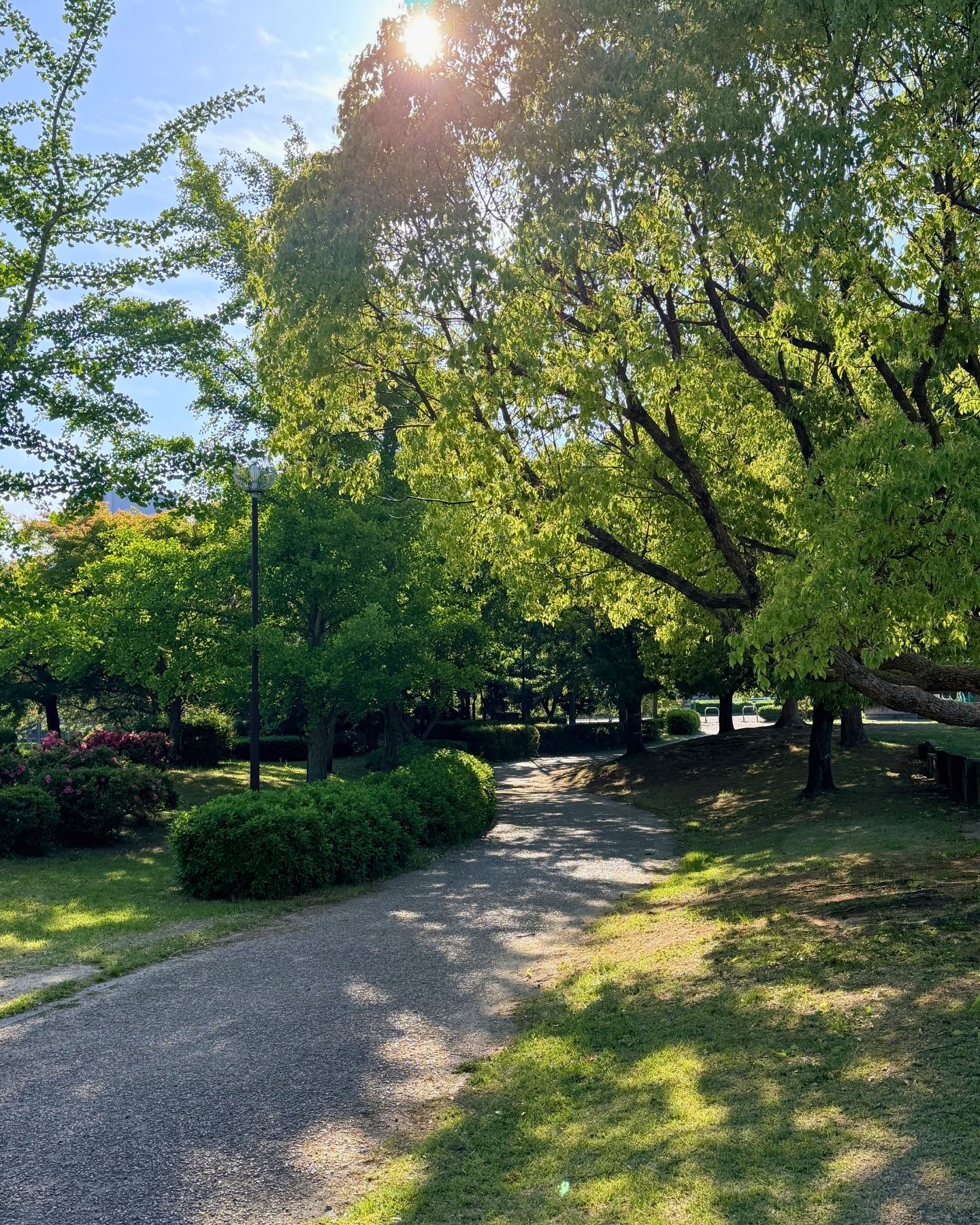 山ノ手公園(愛知県豊田市)緑のトンネル