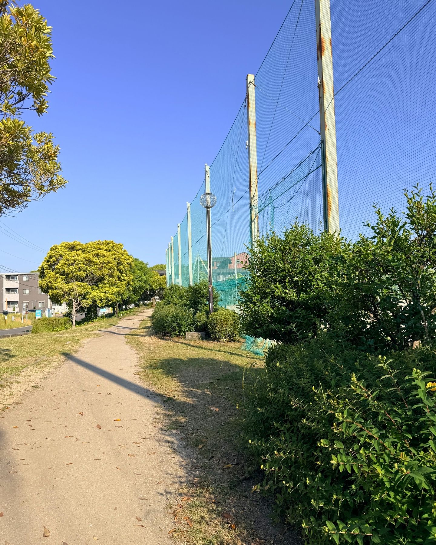 山ノ手公園(愛知県豊田市)グラウンド沿いの道