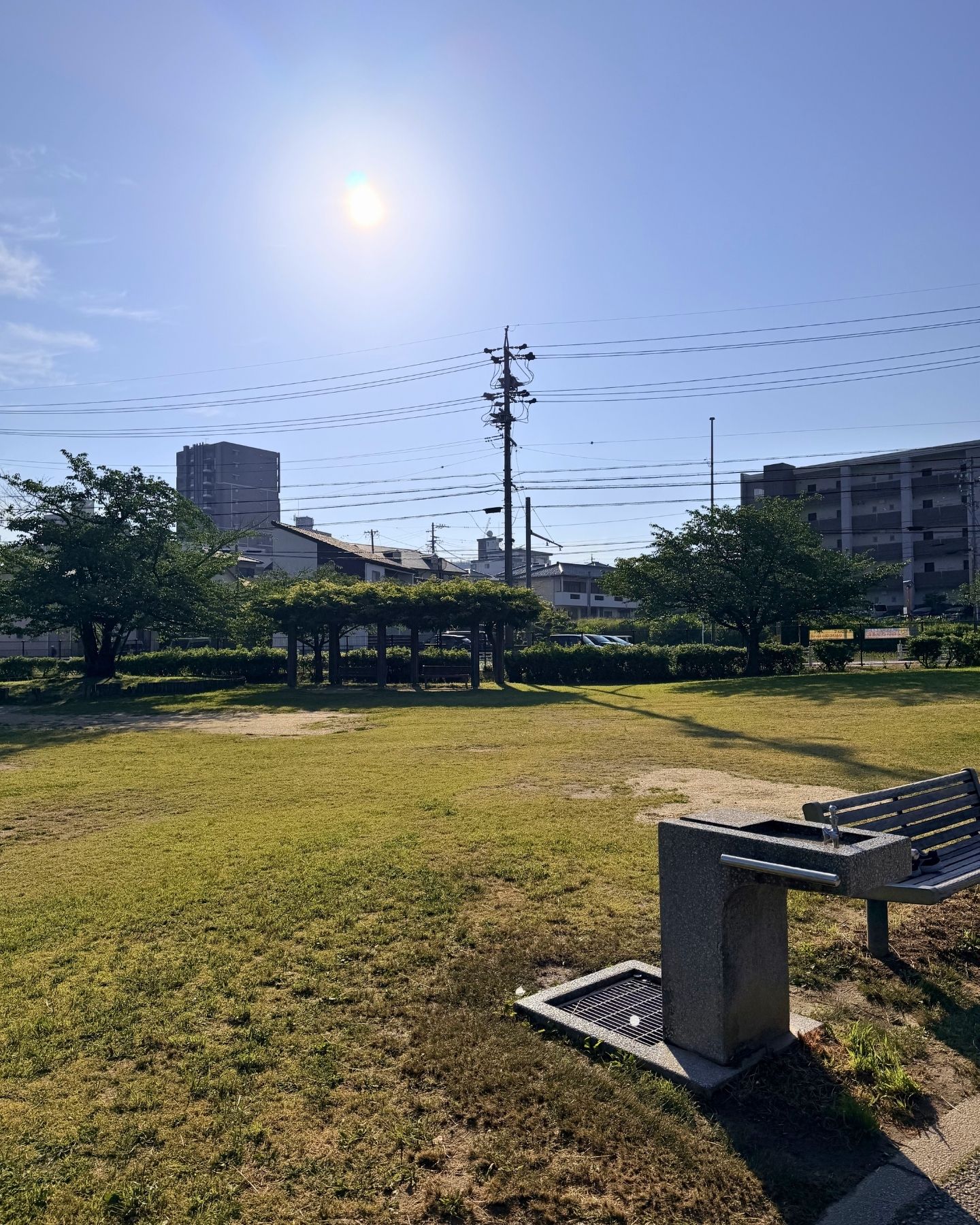 山ノ手公園(愛知県豊田市)芝生