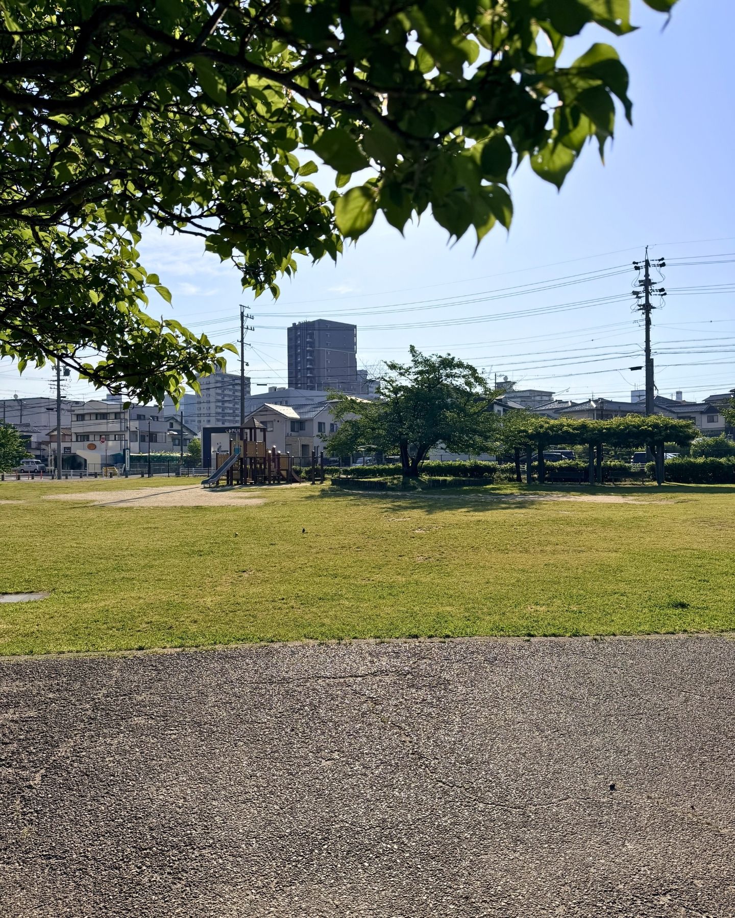 山ノ手公園(愛知県豊田市)芝生とベンチ