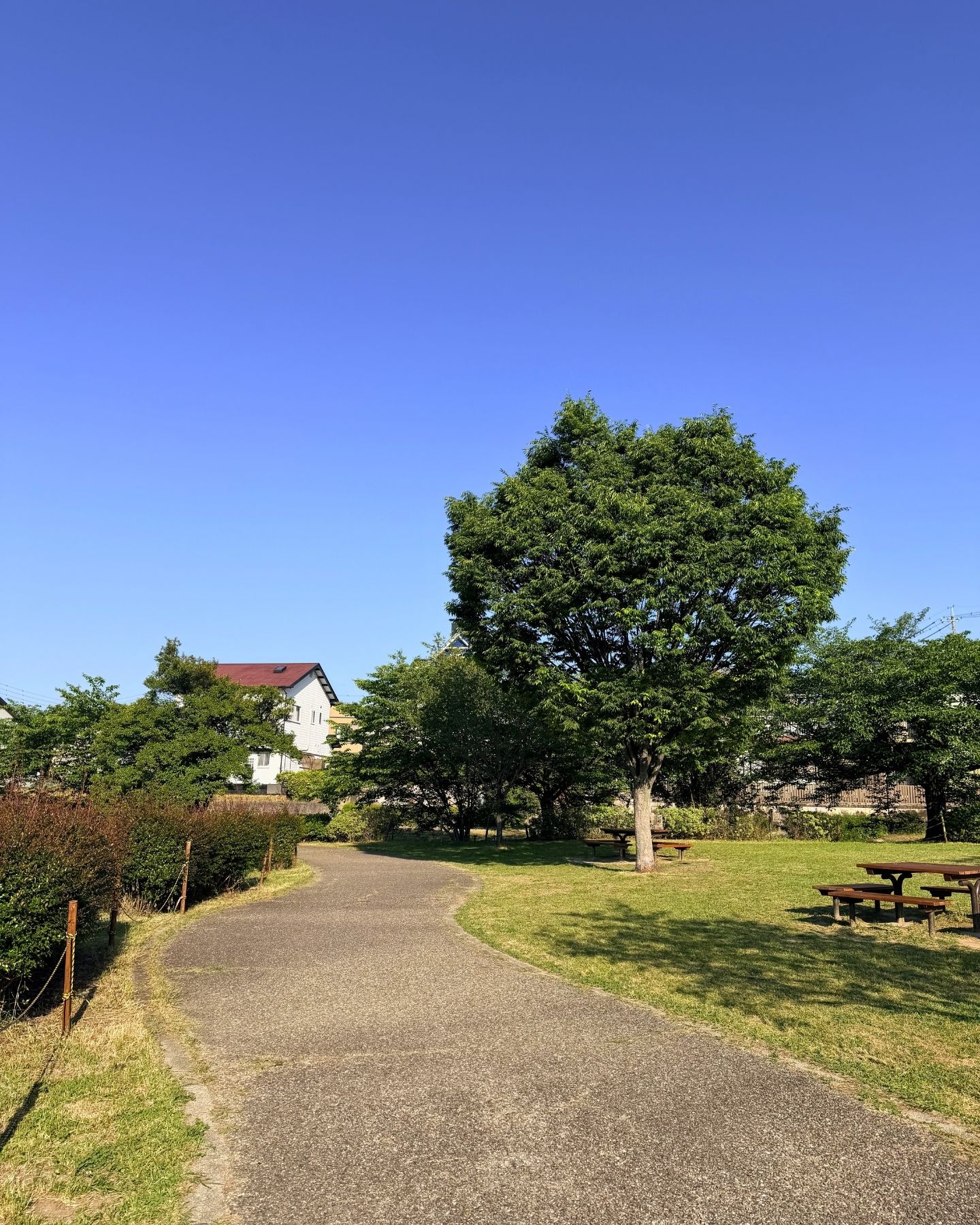 山ノ手公園(愛知県豊田市)芝生の中のベンチとテーブル