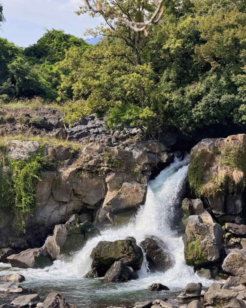 岩に当たって白く砕ける鮎壺の滝