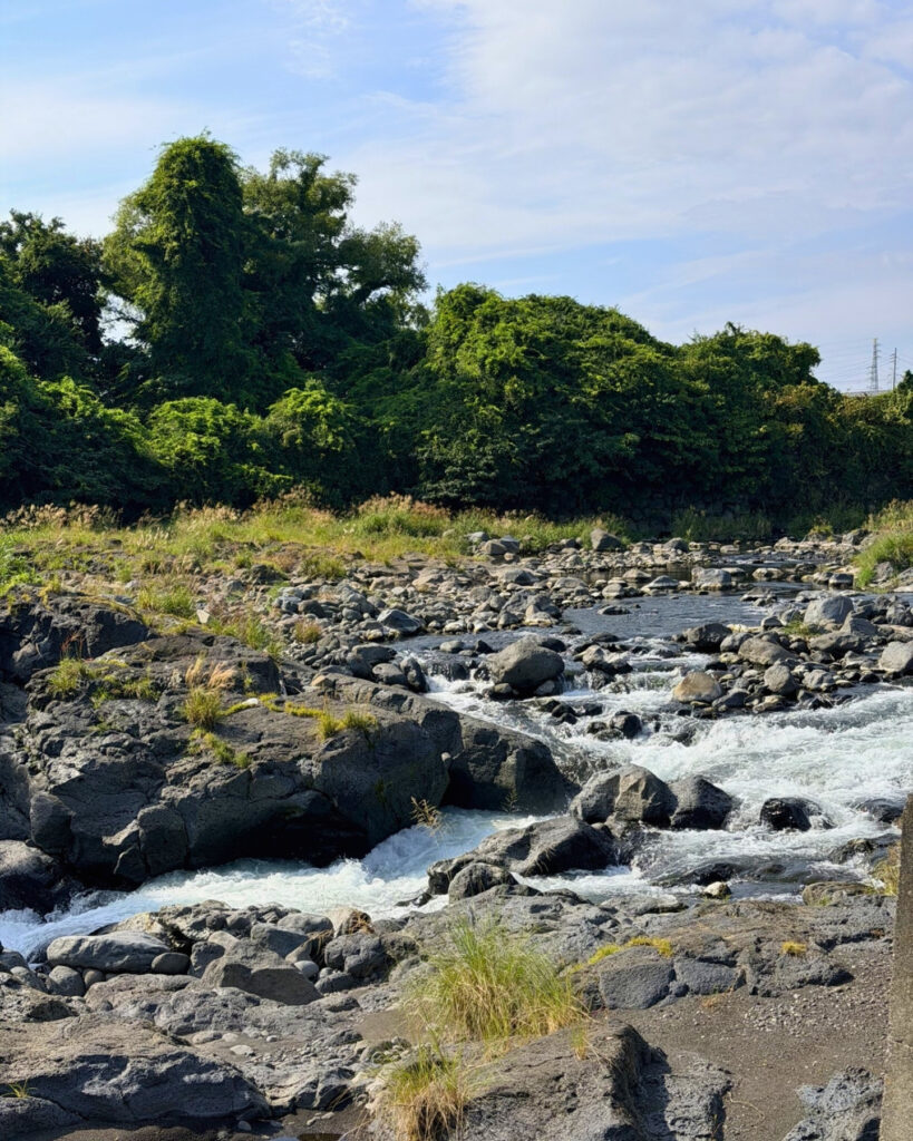 滝の手前の黄瀬川の流れ