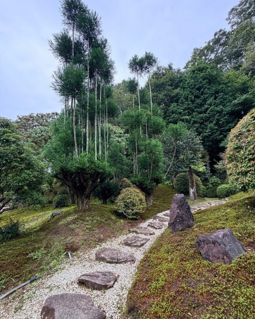 奥殿陣屋 蓬莱の庭