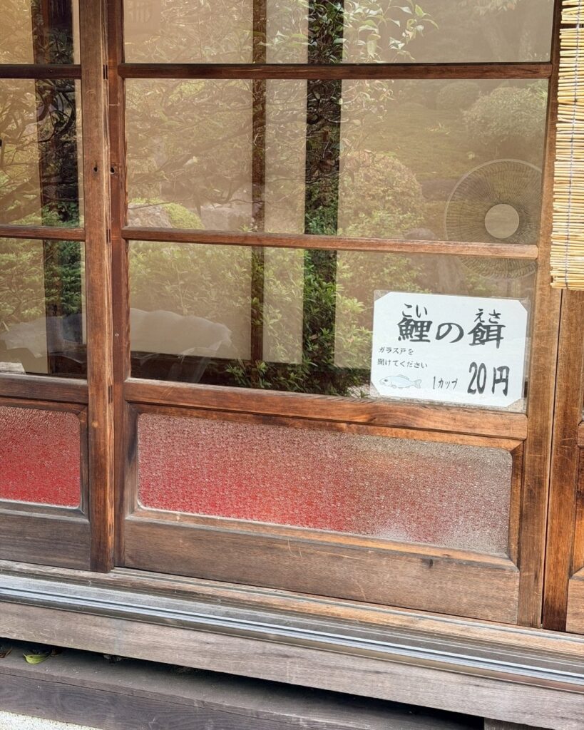 奥殿陣屋 鯉のエサ