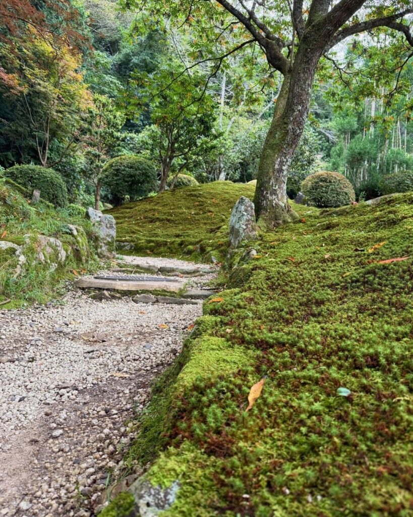 奥殿陣屋 苔の小道