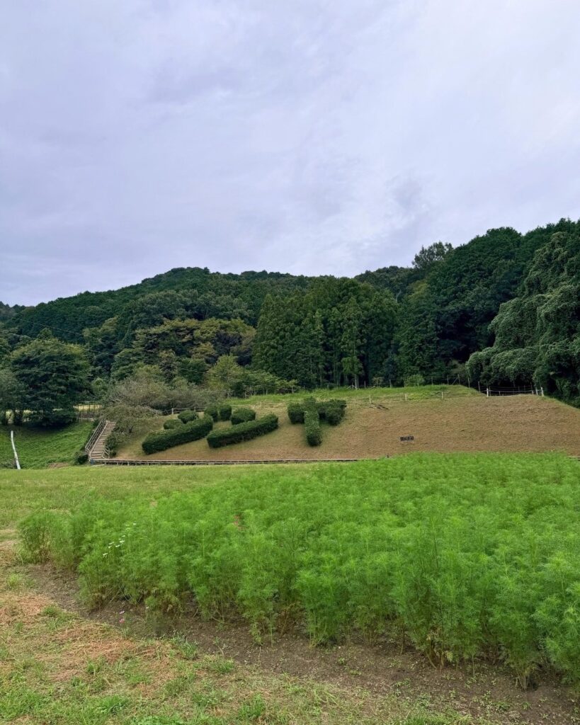 奥殿陣屋 文字の植え込み